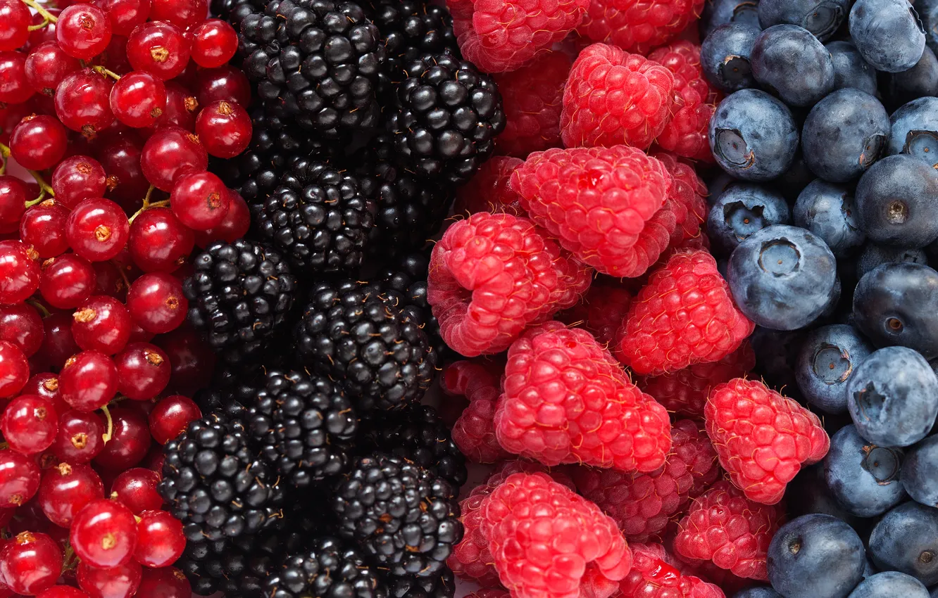 Фото обои colorful, fresh, blue, food, fruit, blueberry, blackberry, berries