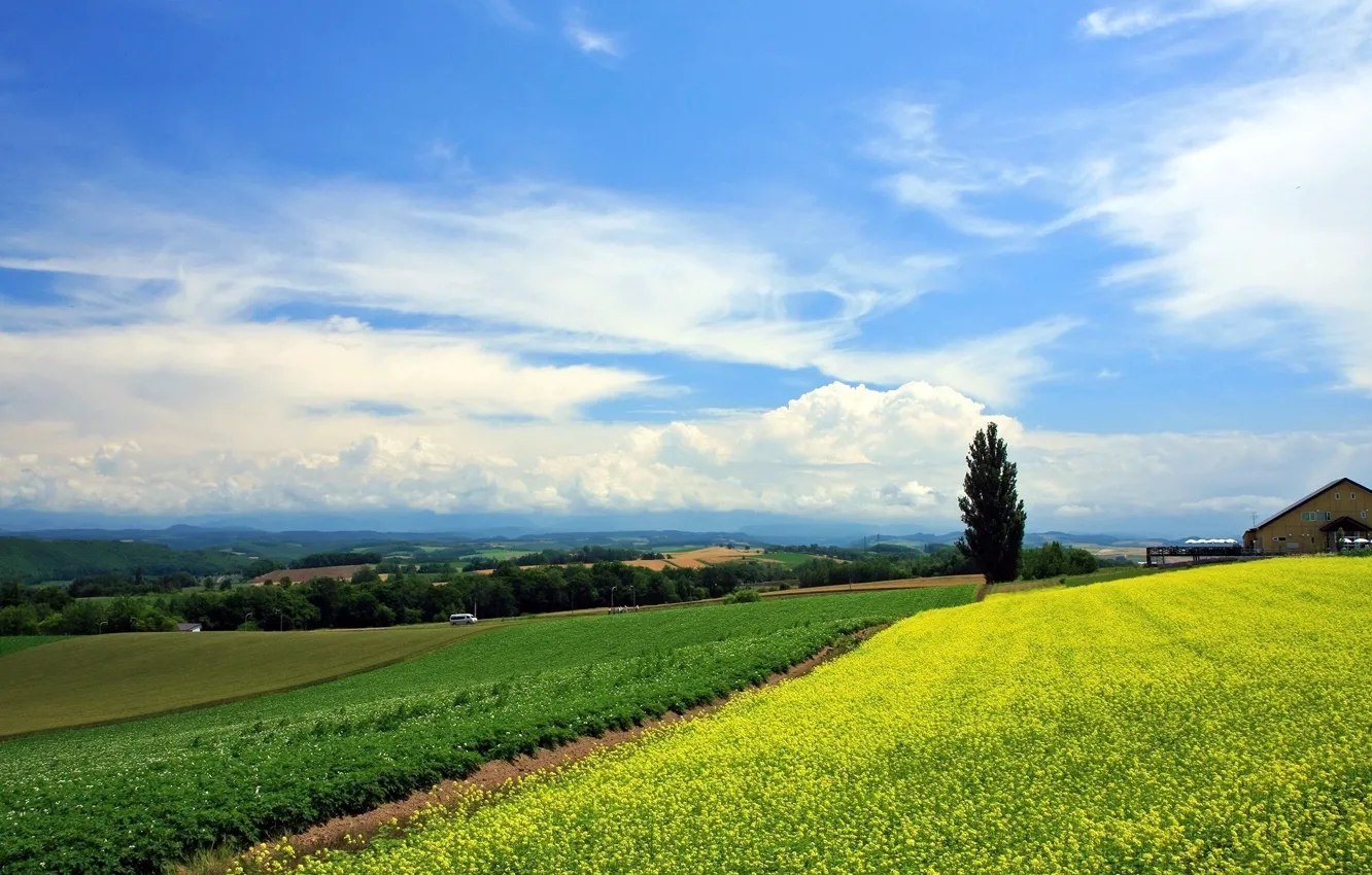 Фото обои nature, farm, Town
