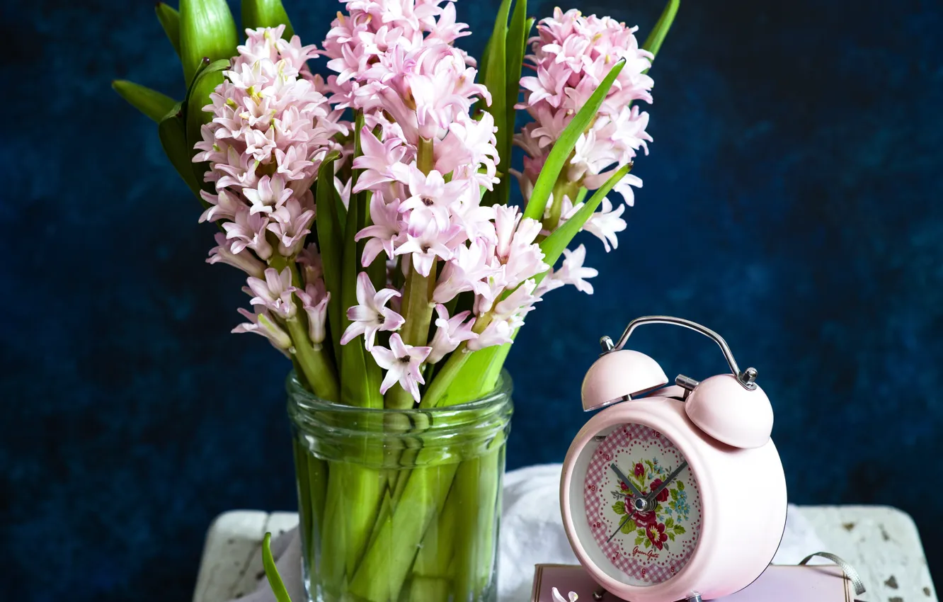Фото обои будильник, розовые, гиацинты