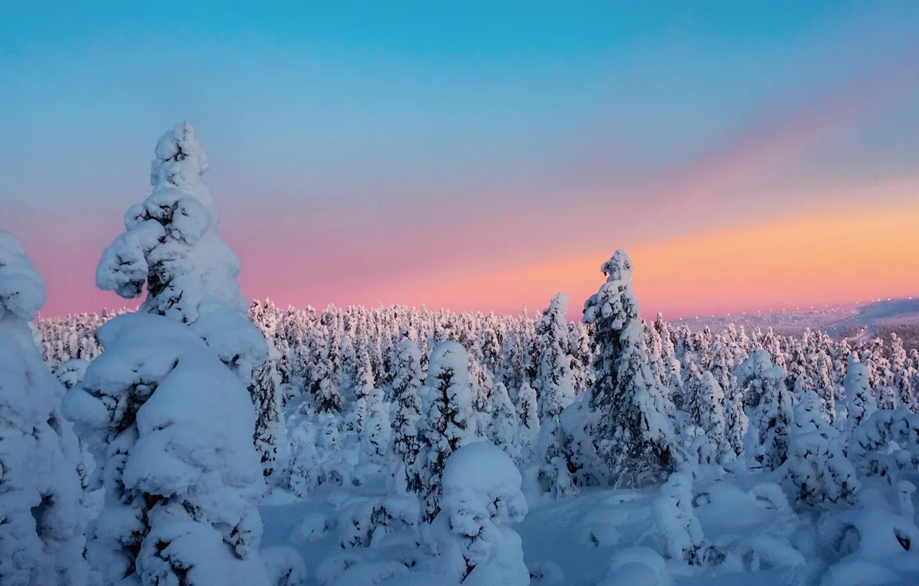 Фото обои зима, небо, облака, снег, деревья, закат, sky, landscape