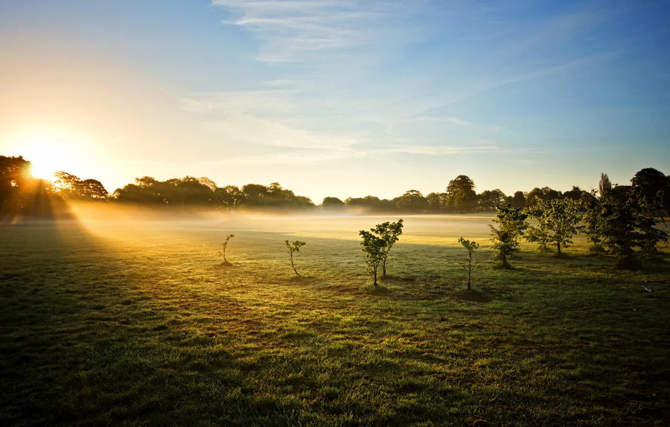 Фото обои Sunrise, mist, Astley Park