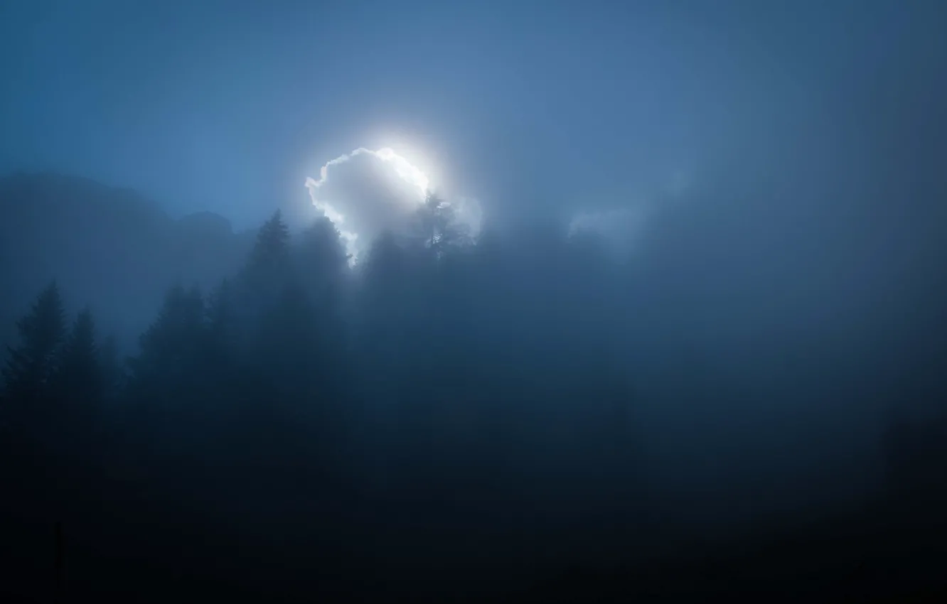 Фото обои forest, misty, mountains, clouds, sunlight, foggy, sunray