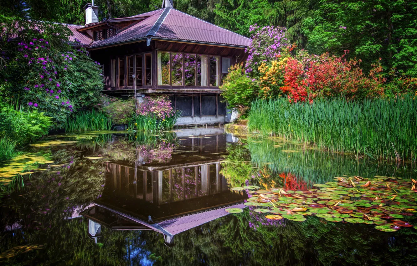Фото обои цветы, пруд, Япония, пагода, домик, ирисы