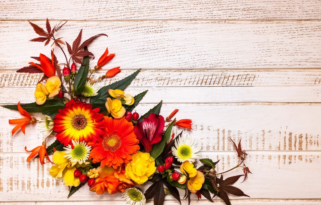 Фото обои осень, листья, цветы, wood, flowers, autumn, leaves, композиция