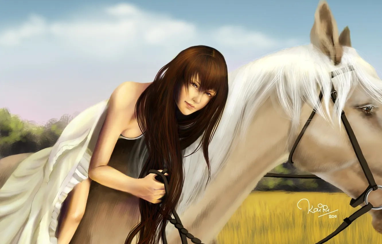 Фото обои поле, трава, девушка, конь, лошадь, платье, арт, белая
