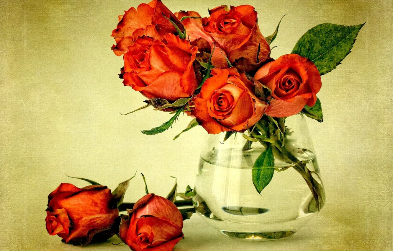 Фото обои листья, вода, цветы, растение, розы, букет, красные, ваза