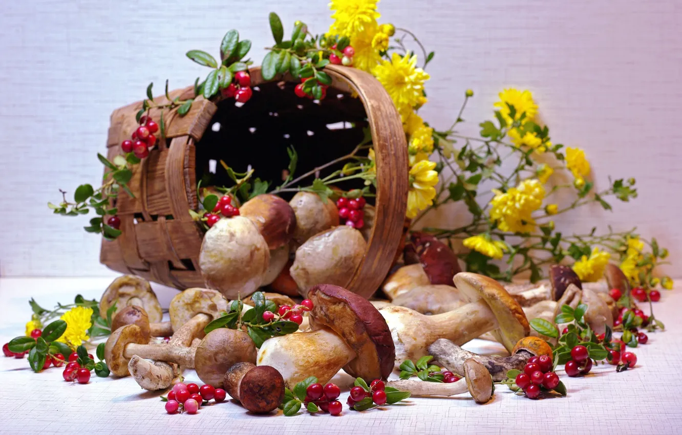 Фото обои цветы, корзина, грибы, брусника, боровик