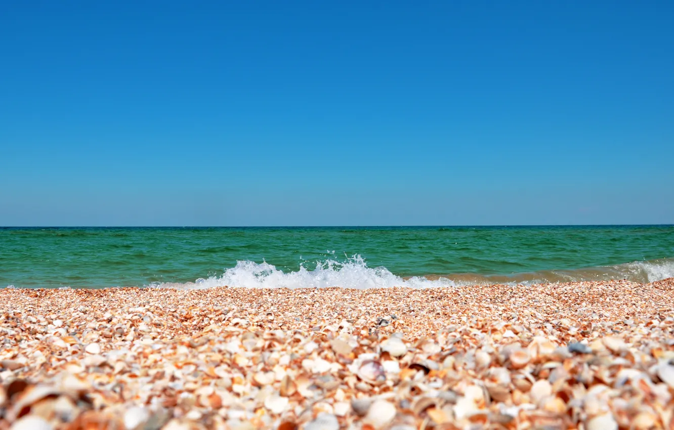 Фото обои море, небо, пейзаж, природа, ракушка, ракушки, крым, песок из ракушек