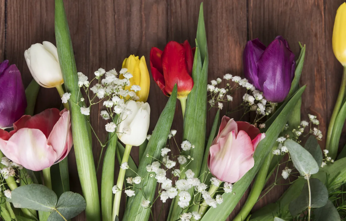 Фото обои цветы, colorful, тюльпаны, flowers, beautiful, tulips, spring, multicolored