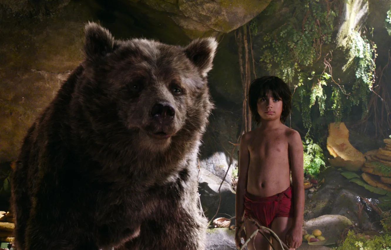 Фото обои друг, мальчик, медведь, Балу, Маугли, The Jungle Book, Книга джунглей