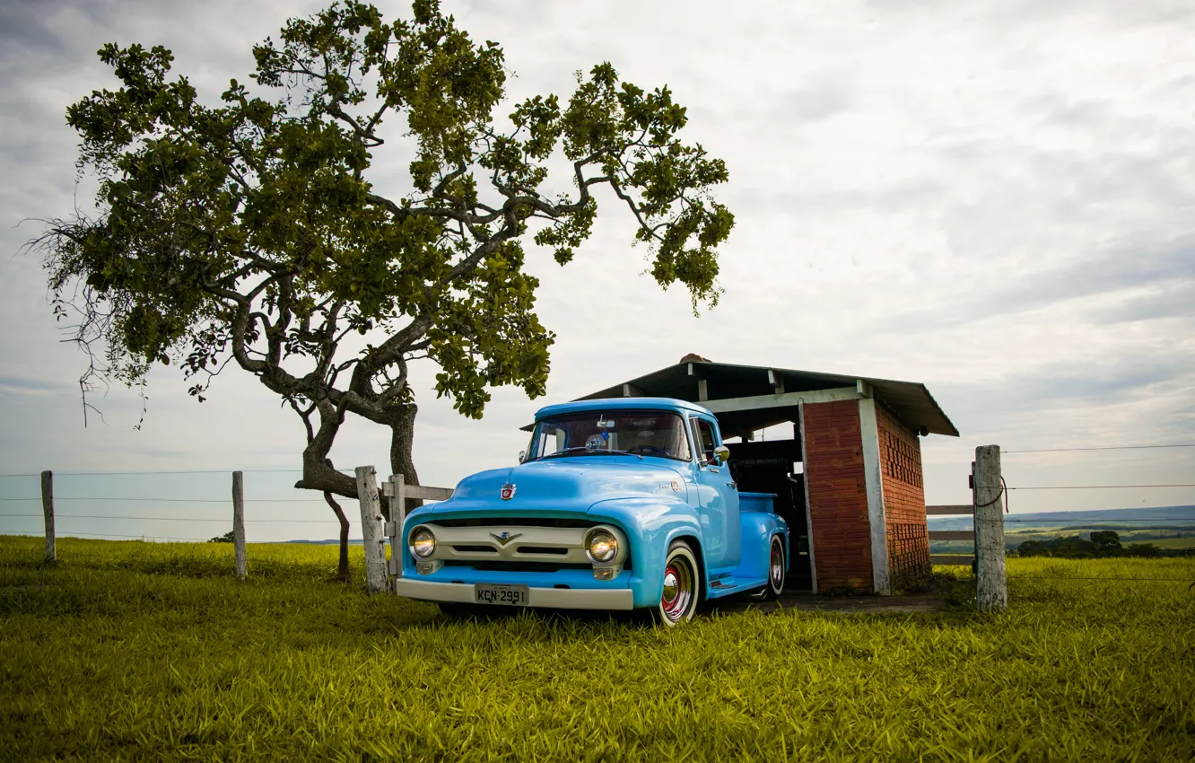 Фото обои ford, blue, f-100