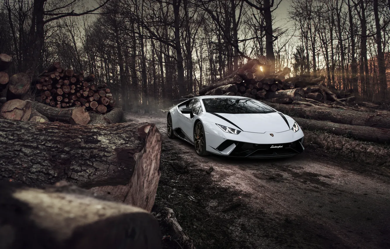 Фото обои Lamborghini, White, Autumn, Evening, Forest, VAG, Performante, Huracan