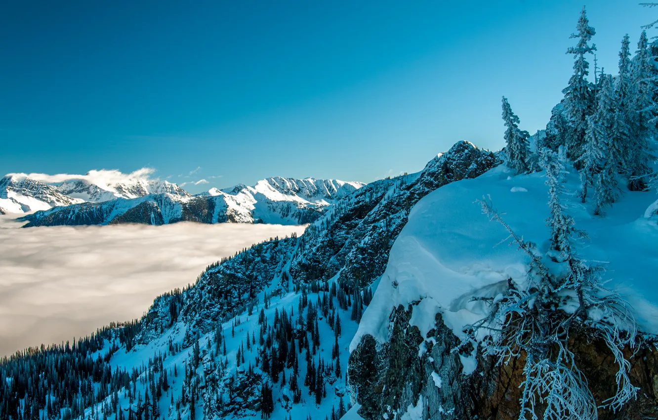 Фото обои зима, небо, снег, деревья, горы, туман