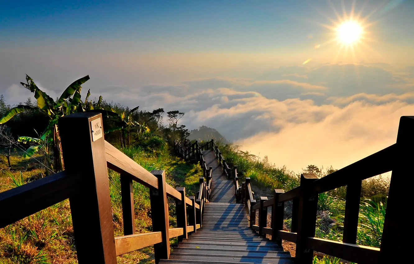 Фото обои солнце, природа, туман, вид, лестница, Пейзаж