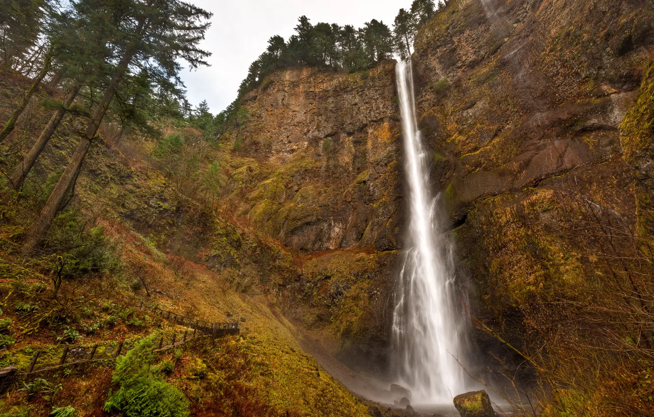 Фото обои деревья, скалы, водопад, США, Oregon, Multnomah Falls