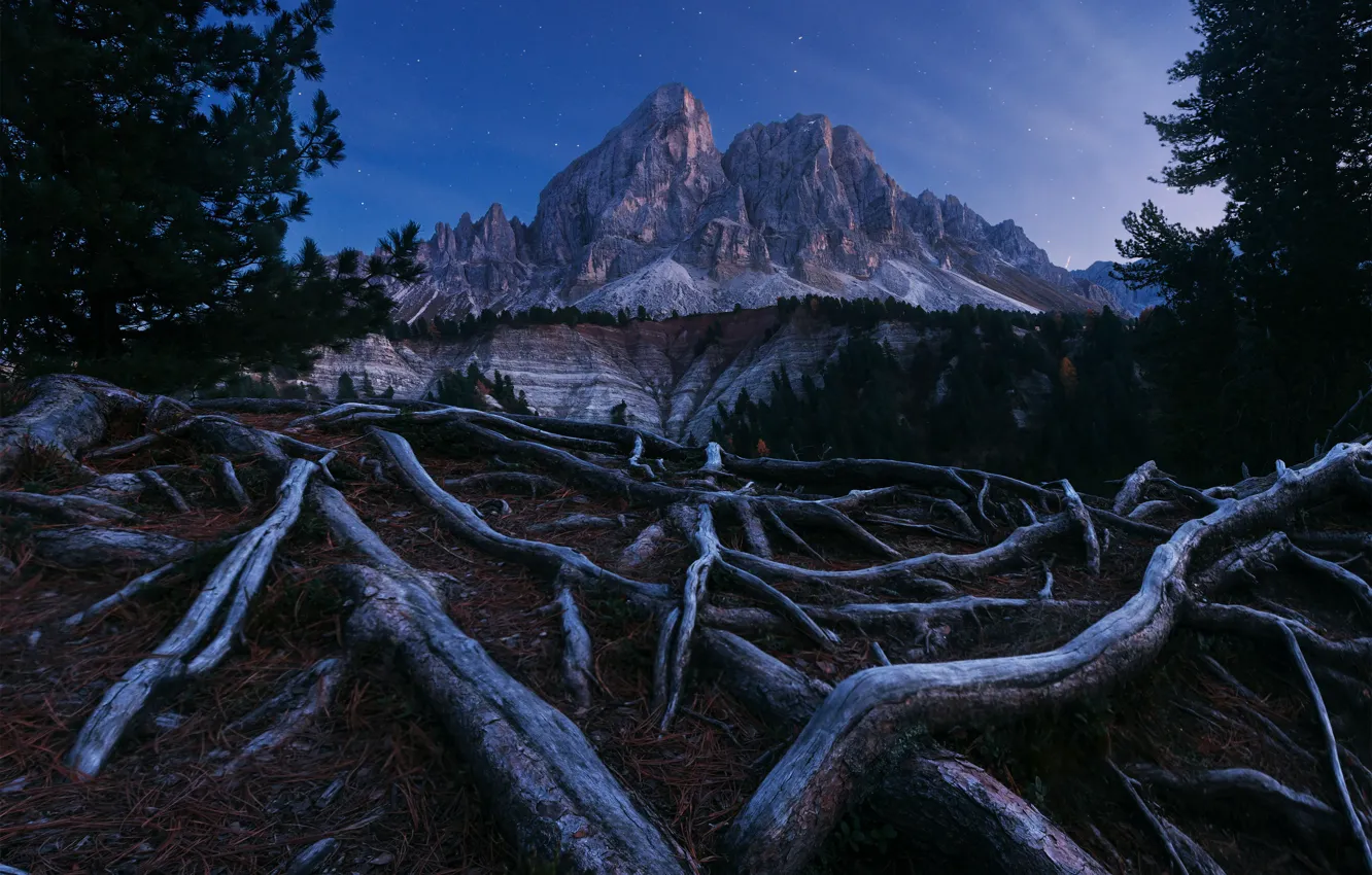 Фото обои корни, гора, звёзды, Twilight Opera