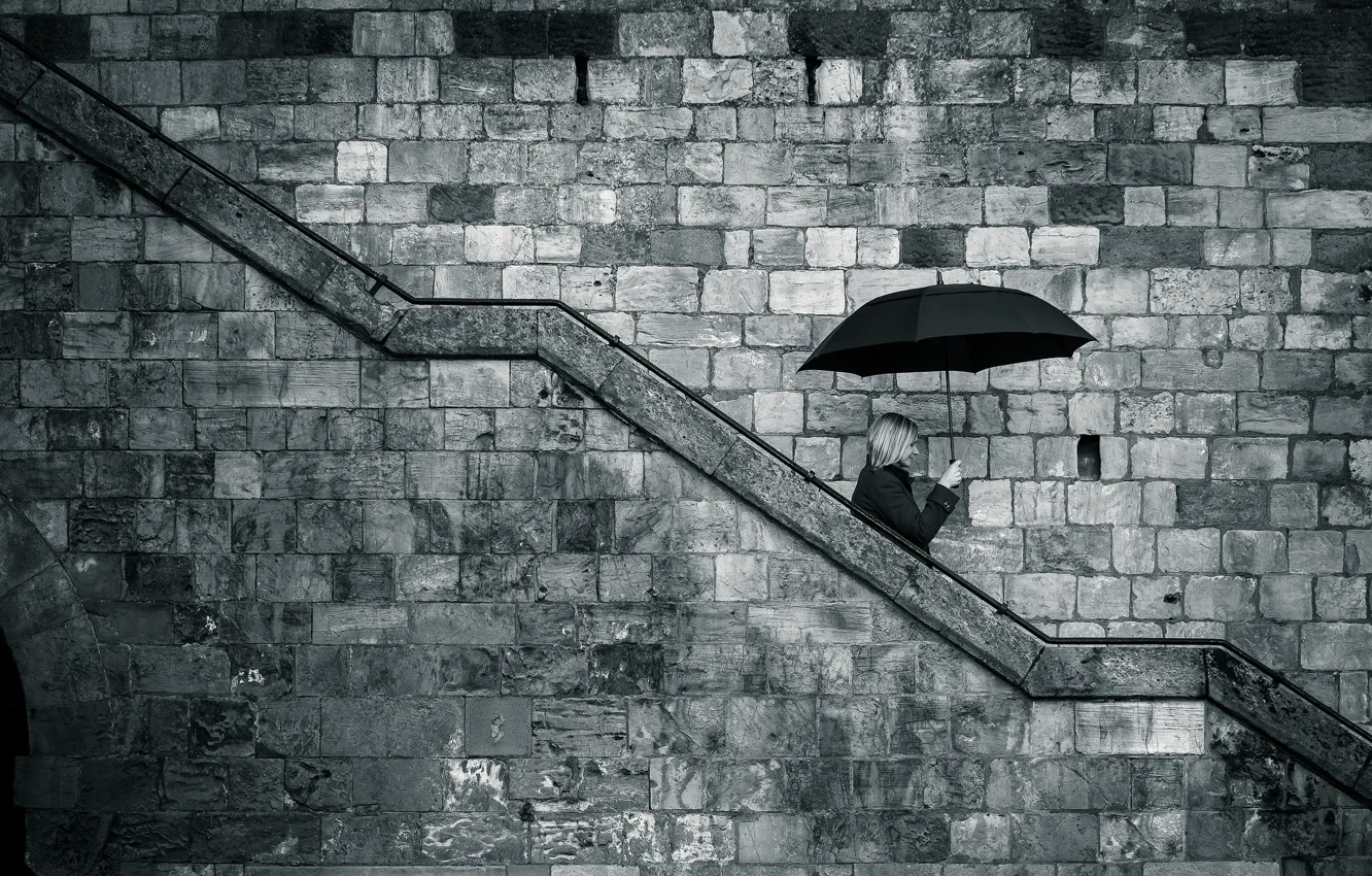 Фото обои woman, umbrella, rainy