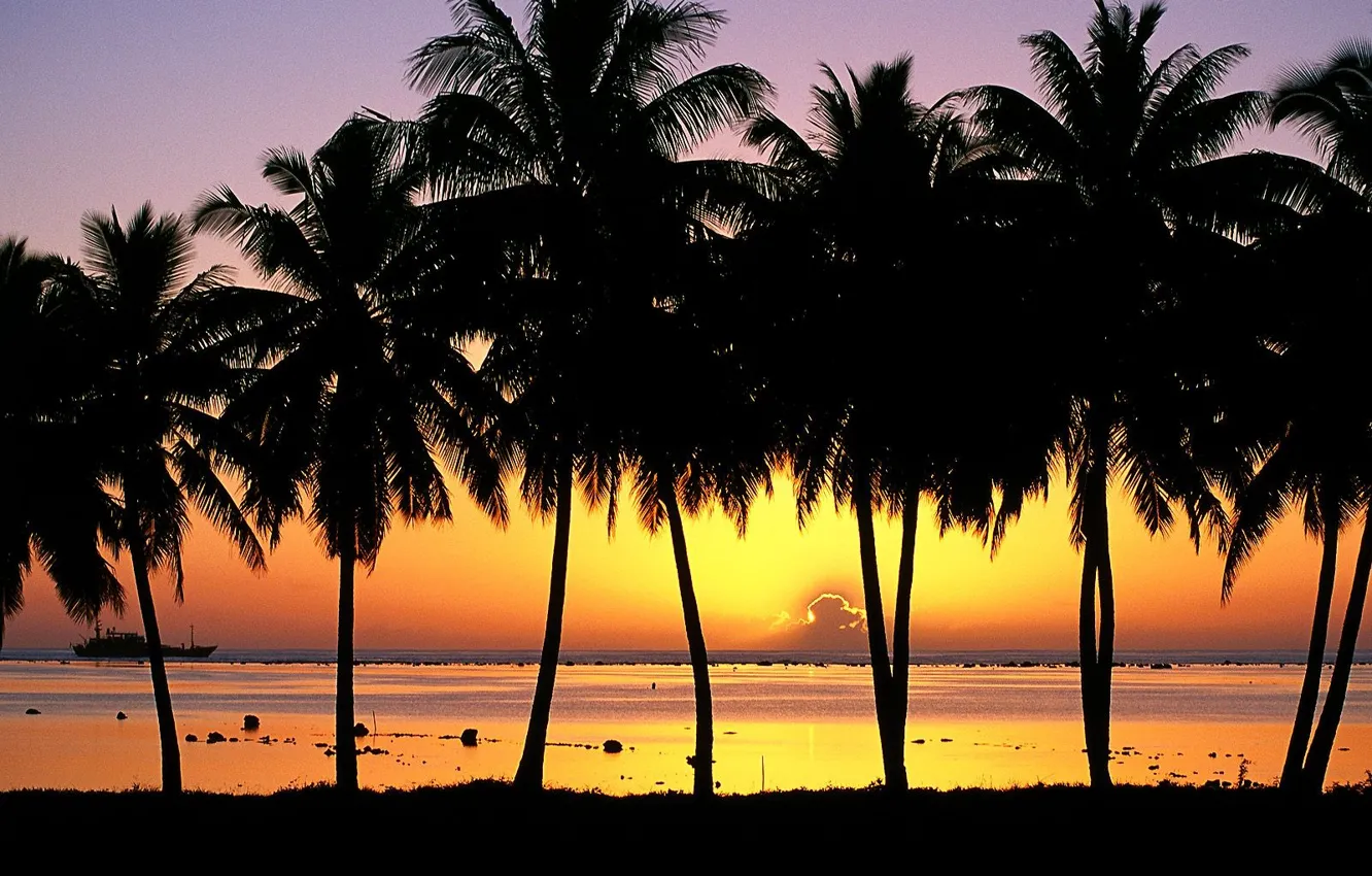 Фото обои пальмы, Закат, Остров, Аитутаки