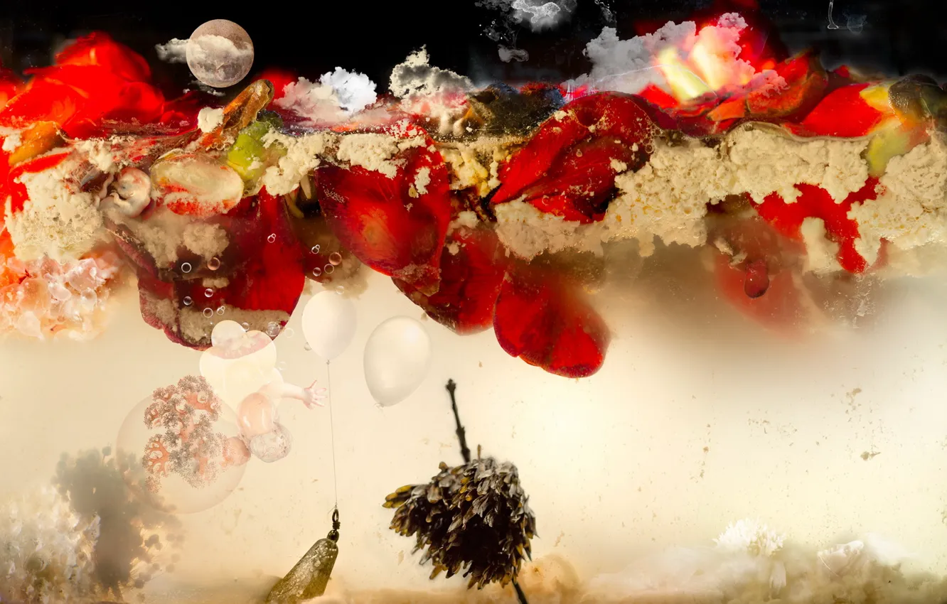 Фото обои red, moon, water, flowers, aquarium