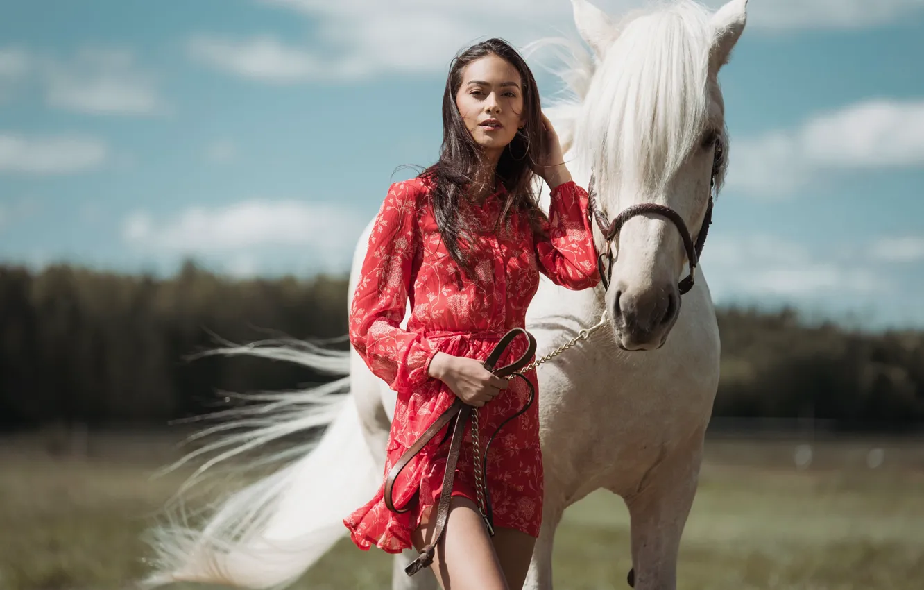 Фото обои взгляд, девушка, природа, ветер, лошадь, платье, боке, Nikita Tikkа