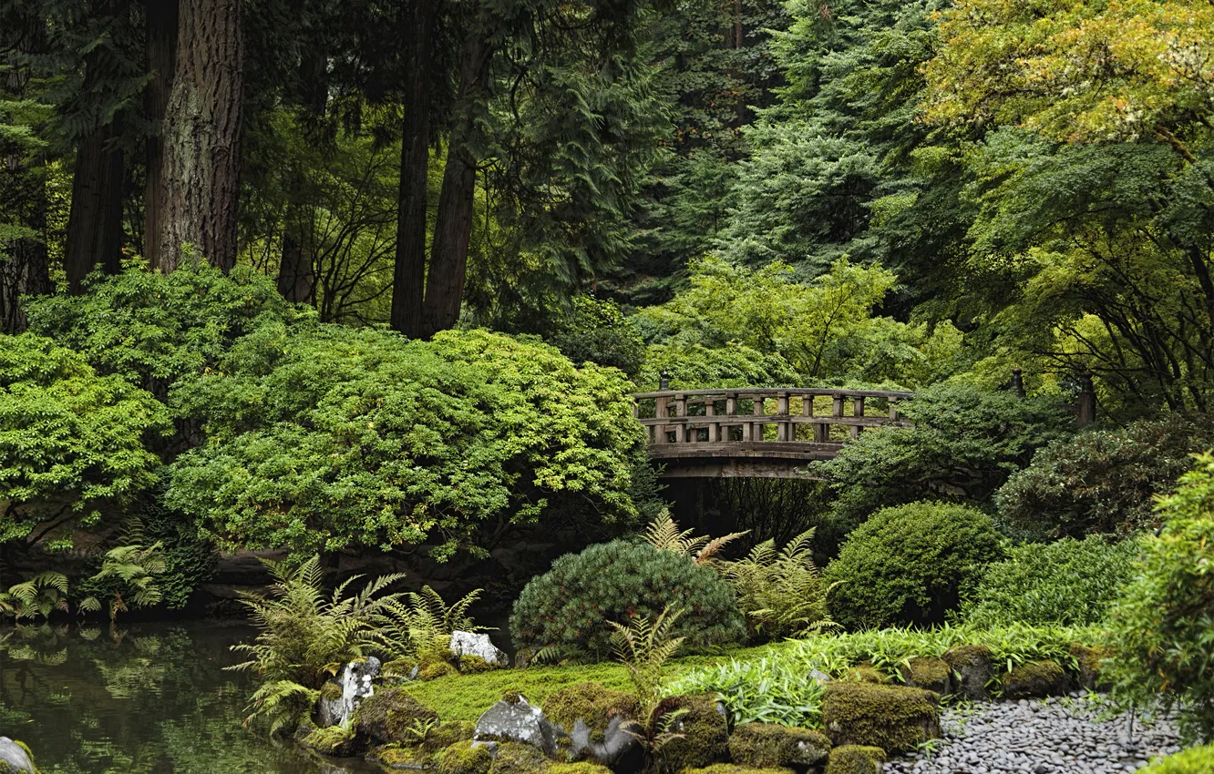 Фото обои деревья, пруд, парк, камни, США, кусты, Oregon, Portland