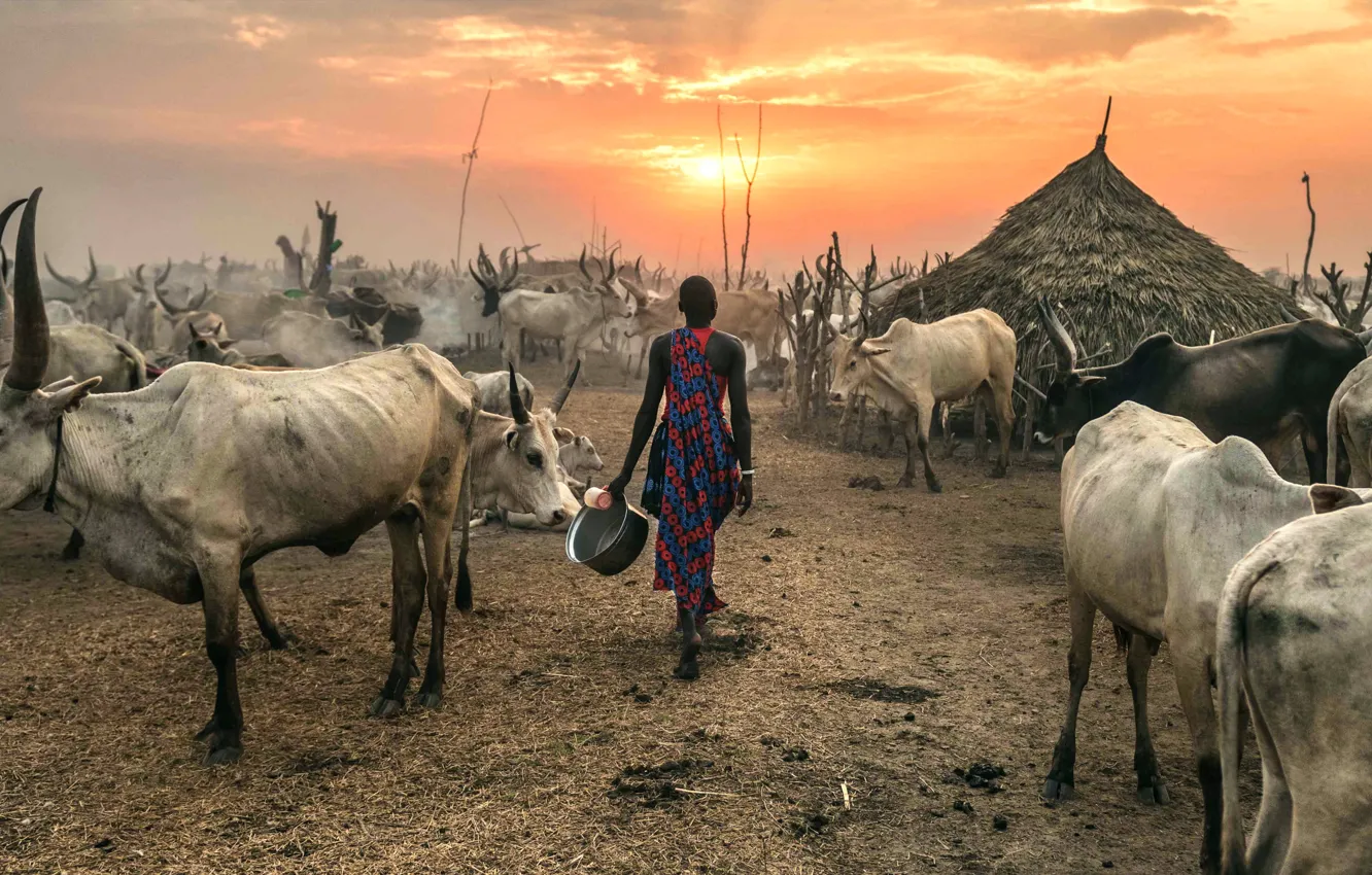 Фото обои Terekeka, South Sudan, Against the Sun