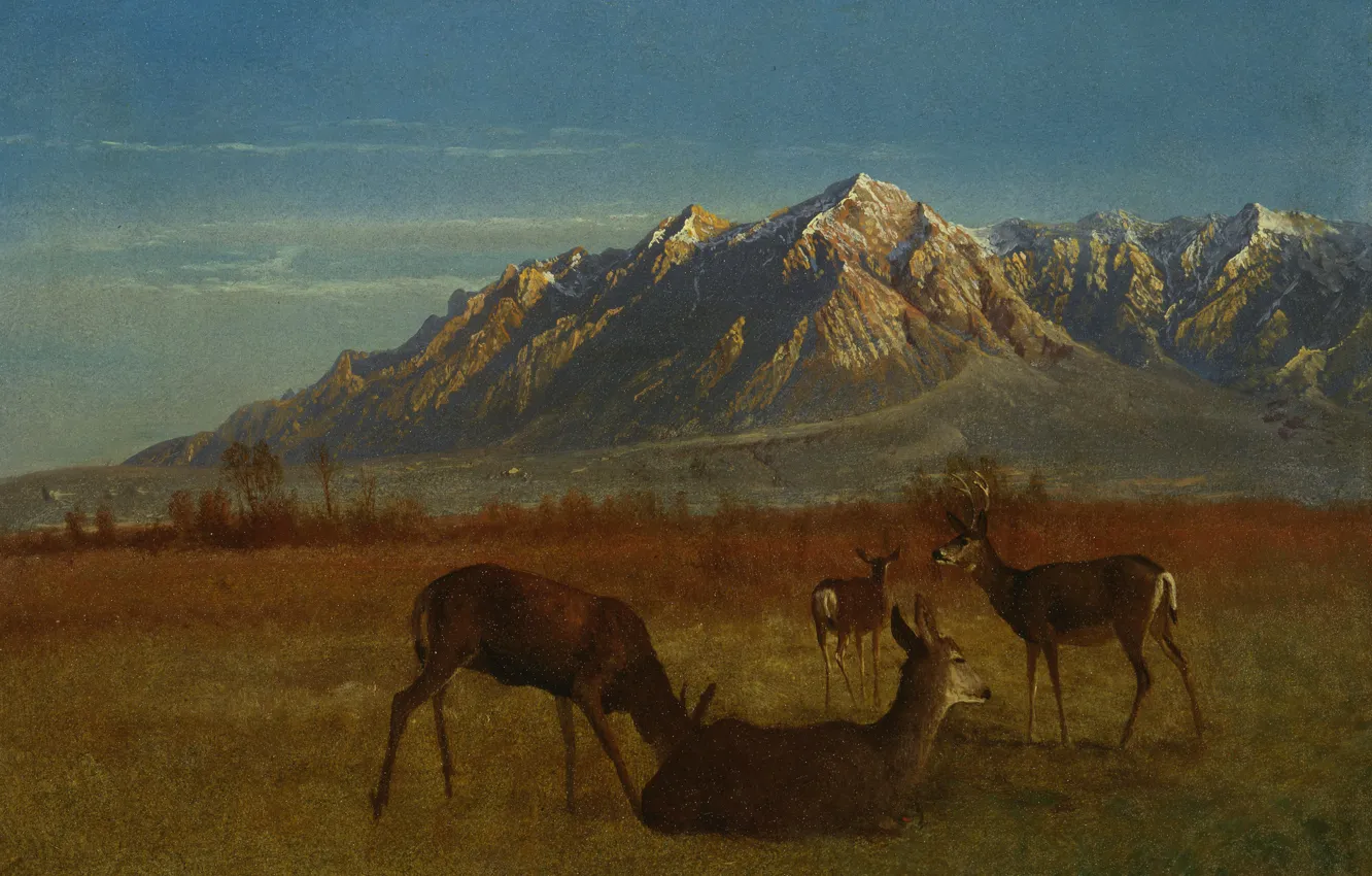 Фото обои животные, пейзаж, горы, картина, Альберт Бирштадт, Олени в Маунтин-Хоум