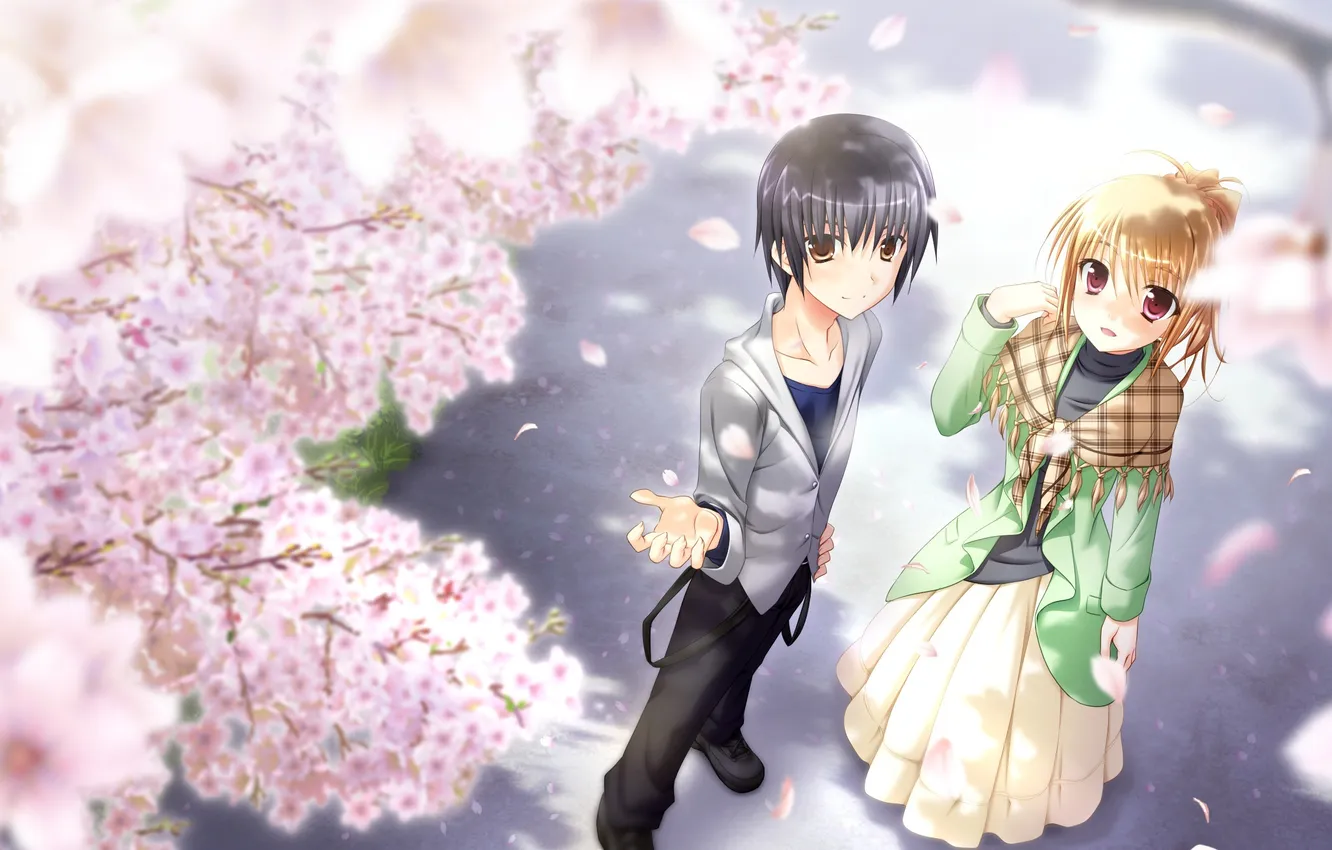 Фото обои взгляд, девушка, улыбка, сакура, парень, art, dp minase, yaneura no kanojo