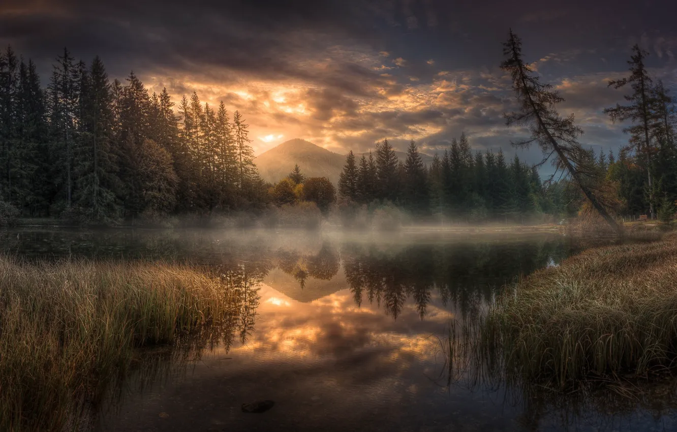 Фото обои лес, вода, закат, горы, озеро, отражение