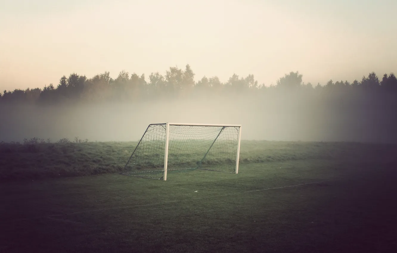 Фото обои поле, лес, туман, футбол, ворота