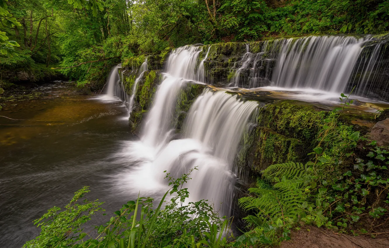 Фото обои лес, река, Англия, водопад, каскад, England, Уэльс, Wales