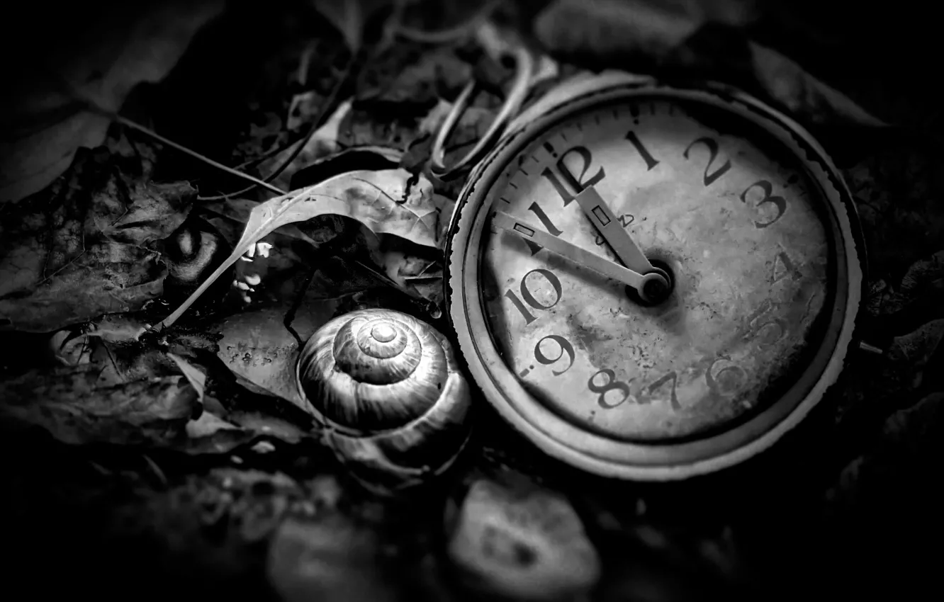 Фото обои часы, black and white, Time is now