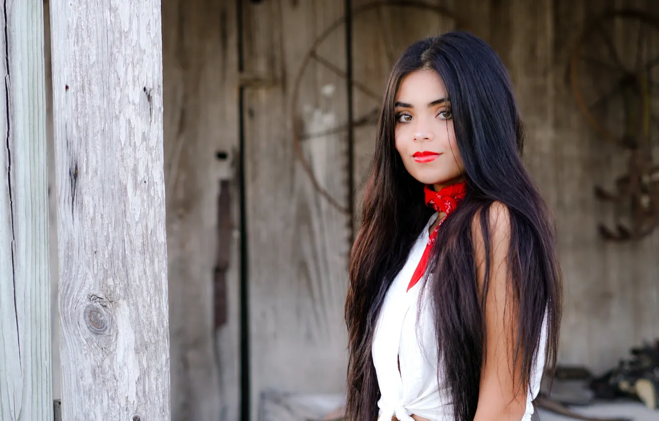 Фото обои лицо, модель, волосы, брюнетка, Kelly