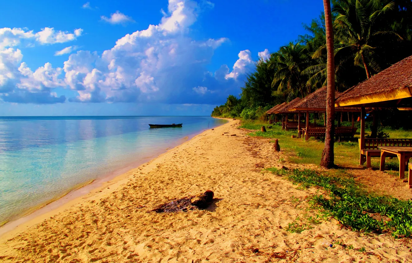 Фото обои пляж, природа, пальмы, океан, курорт, экзотика