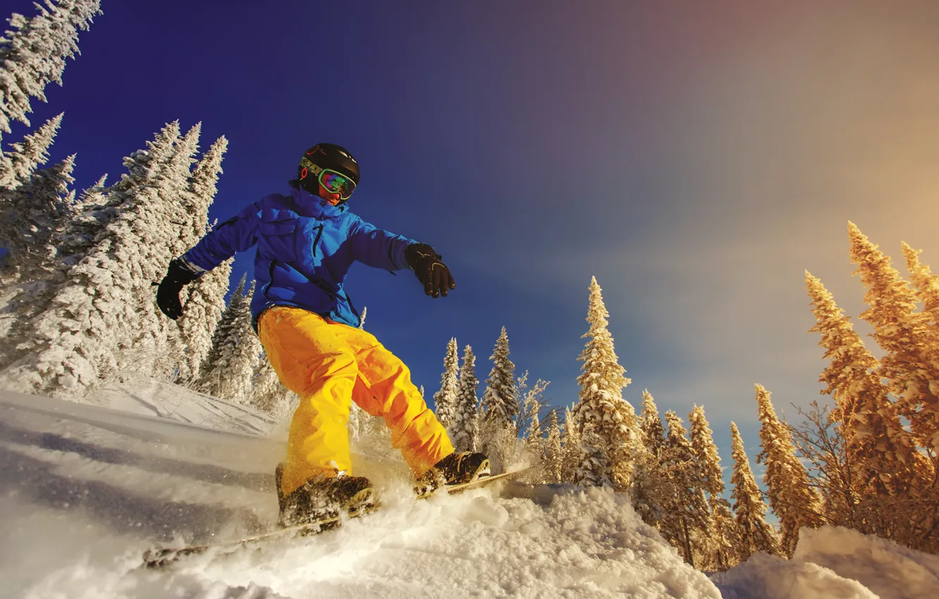 Фото обои зима, солнце, снег, деревья, сноуборд, очки, куртка, перчатки