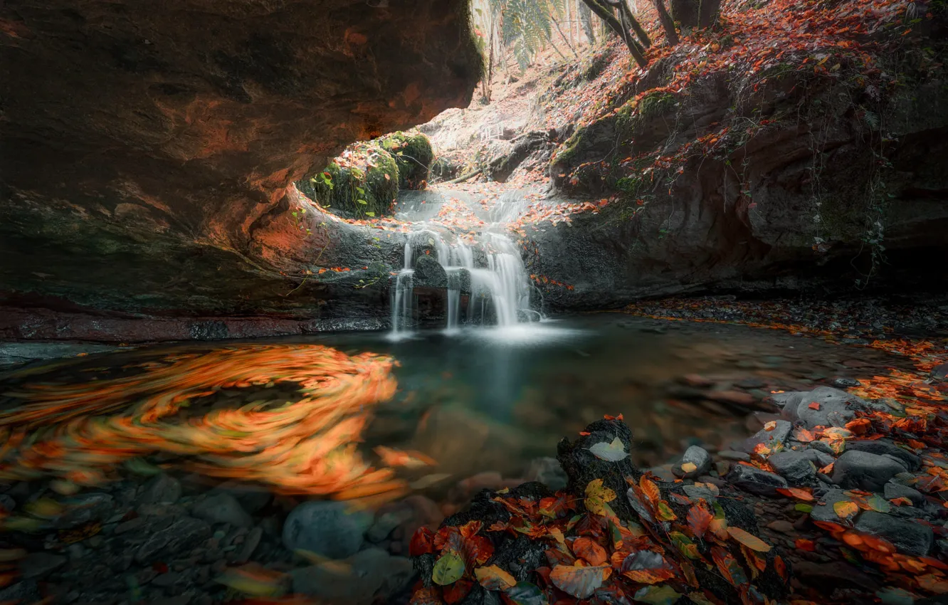 Фото обои осень, лес, свет, камни, скалы, берег, листва, водопад