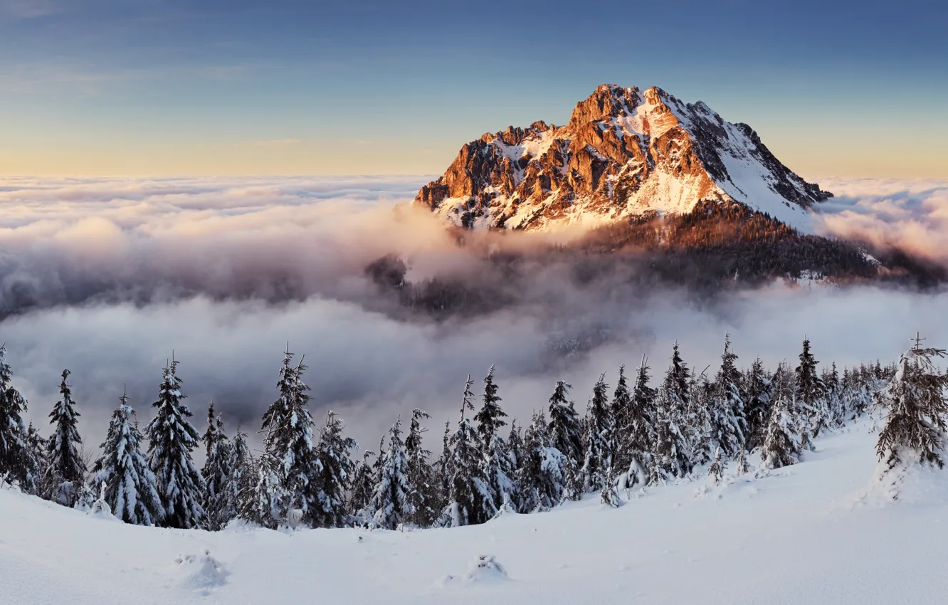 Фото обои зима, снег, горы, туман, landscape, winter, snow