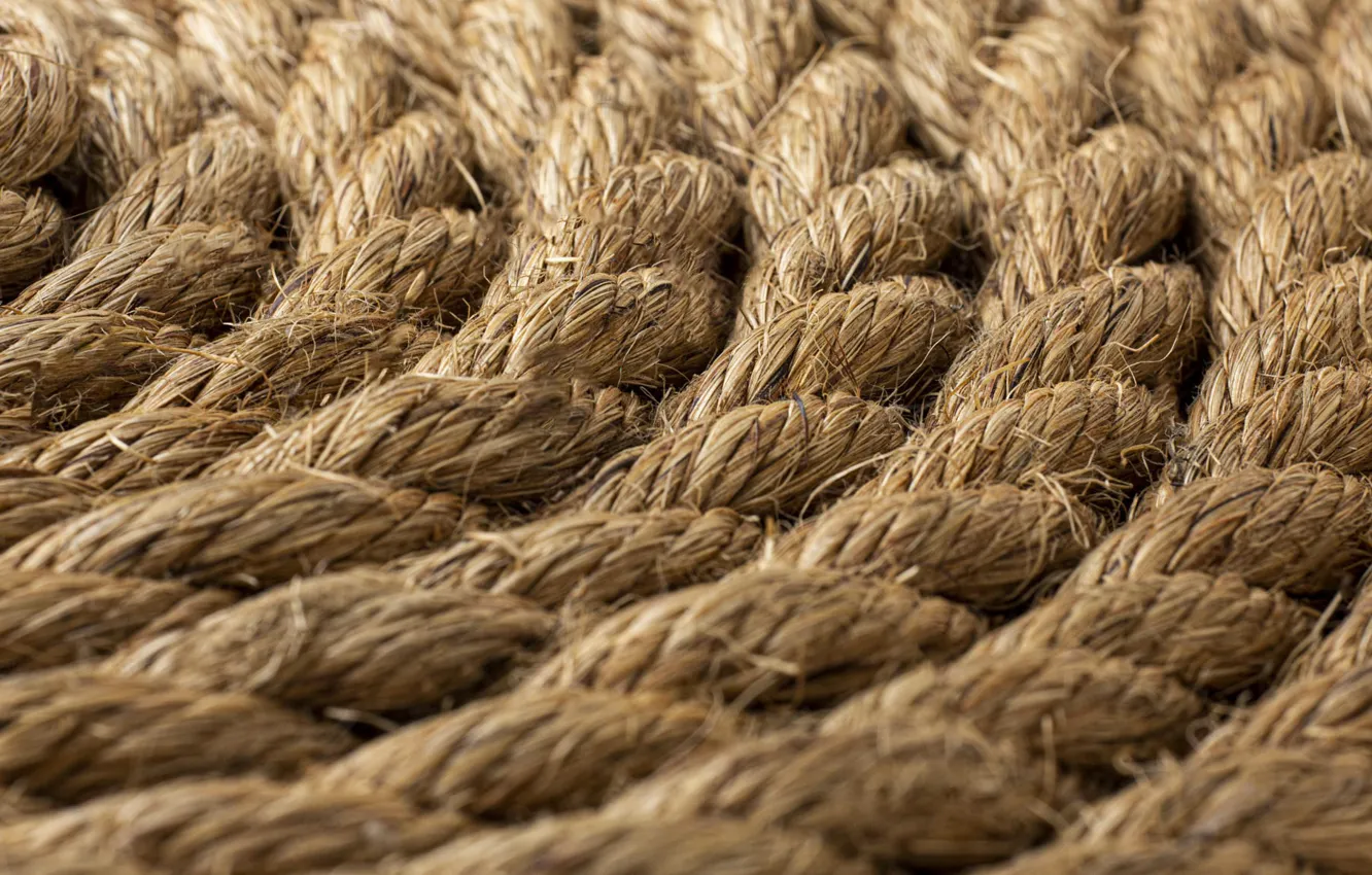 Фото обои макро, круг, спираль, текстура, веревка, канат, коса, плетение