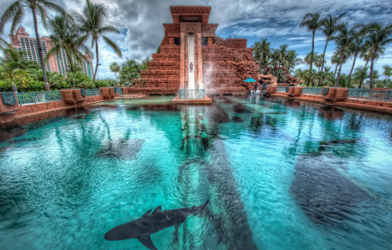 Фото обои пальмы, акула, бассейн, Багамские Острова, Bahamas, Nassau, Нассау, Atlantis hotel