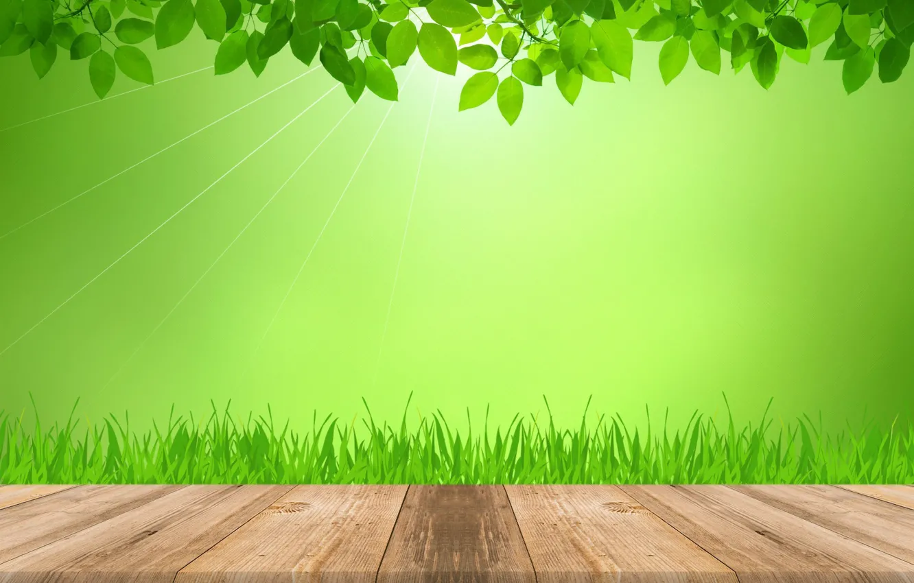 Фото обои трава, листья, лучи, свет, зеленый, доски