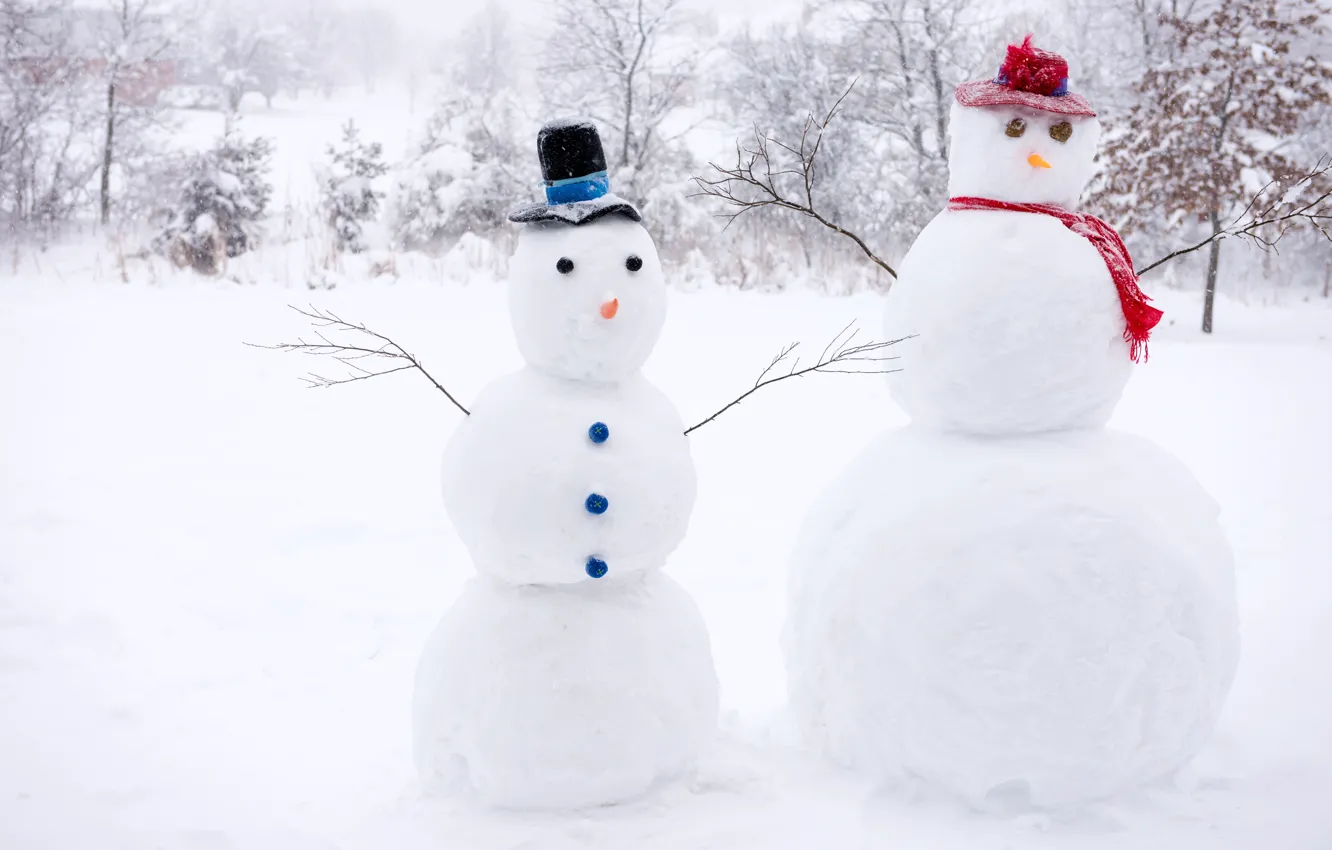 Фото обои зима, снег, деревья, ветки, синий, красный, природа, шарф