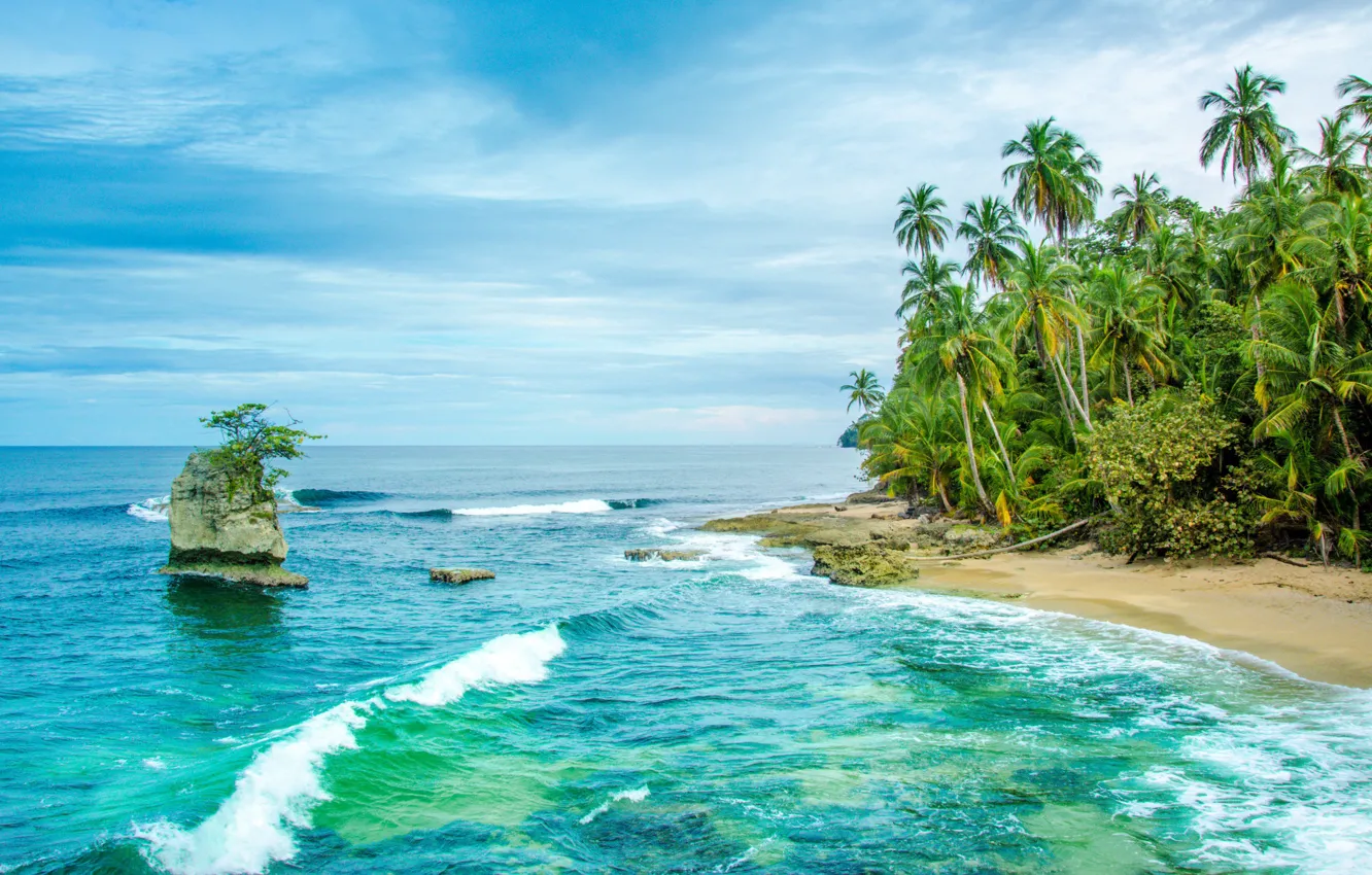 Фото обои море, пальмы, берег, Карибы, Коста-Рика