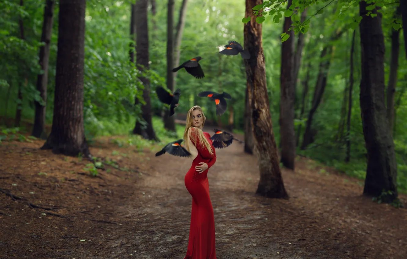 Фото обои девушка, деревья, птицы, фигура, платье, в красном, Spring