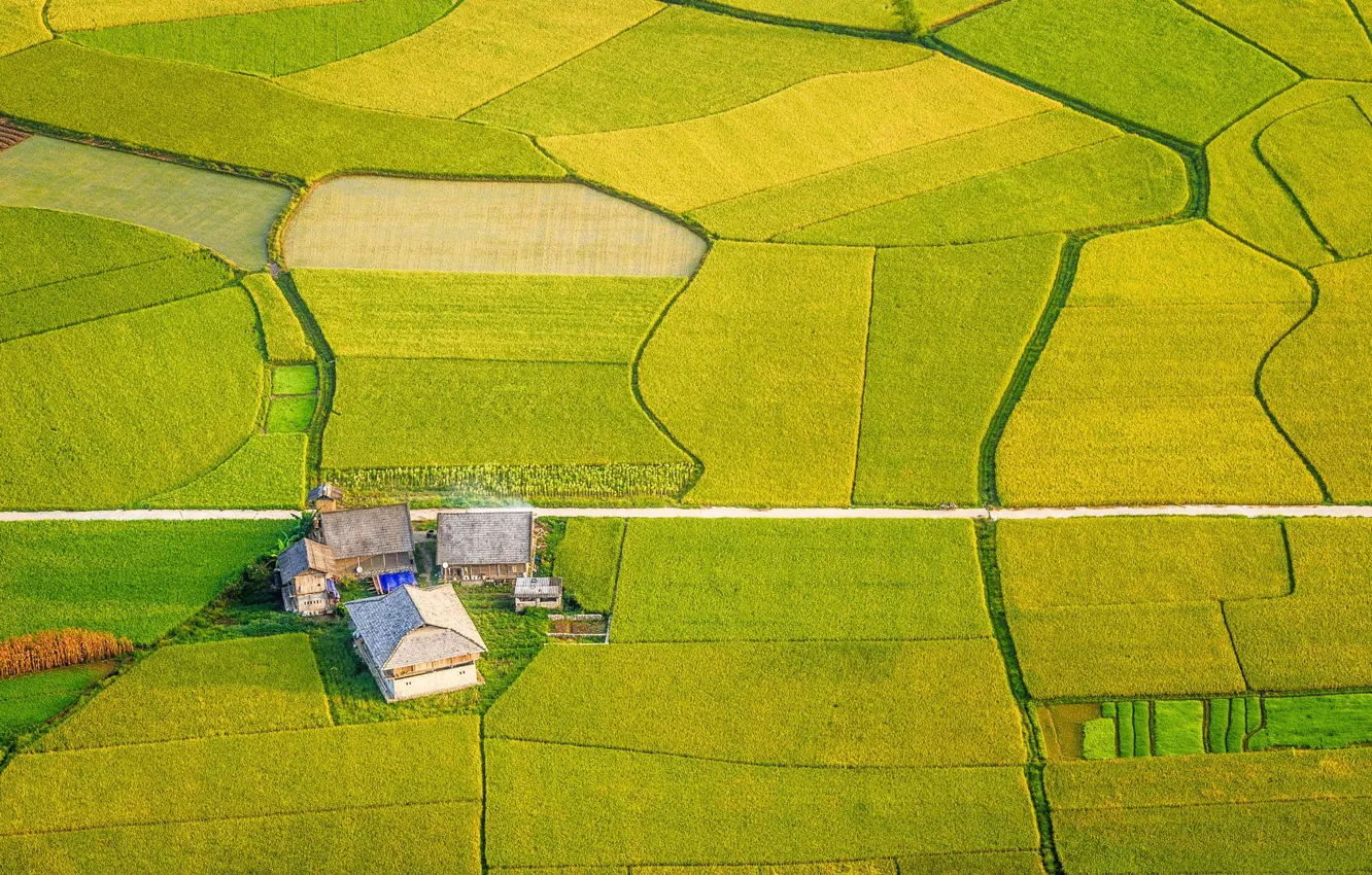 Фото обои поля, вид сверху, ферма, Vietnam, Aerial view of Bắc Sơn valley, Lạng Sơn