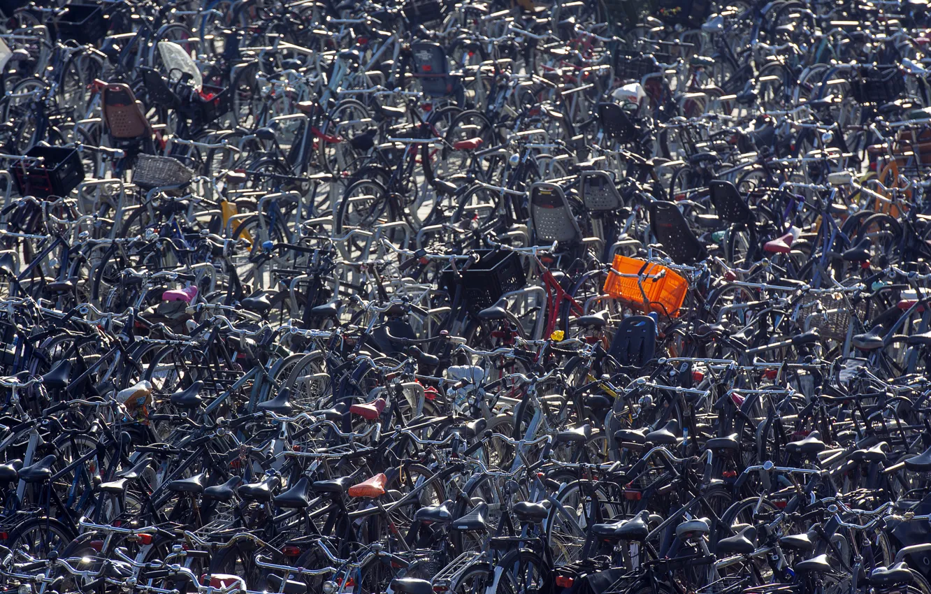 Фото обои город, улица, велосипеды