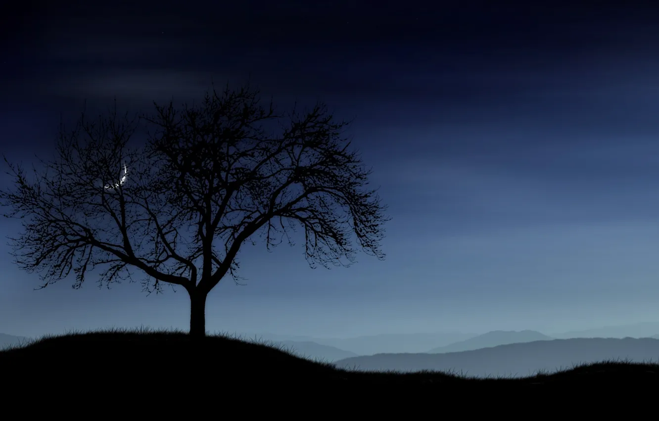 Фото обои небо, трава, дерево, Луна, Холмы