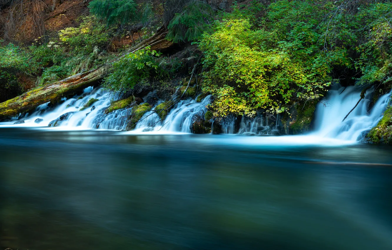 Фото обои река, растительность, Орегон, водопады, каскад, Oregon, Река Метолиус, Metolius River