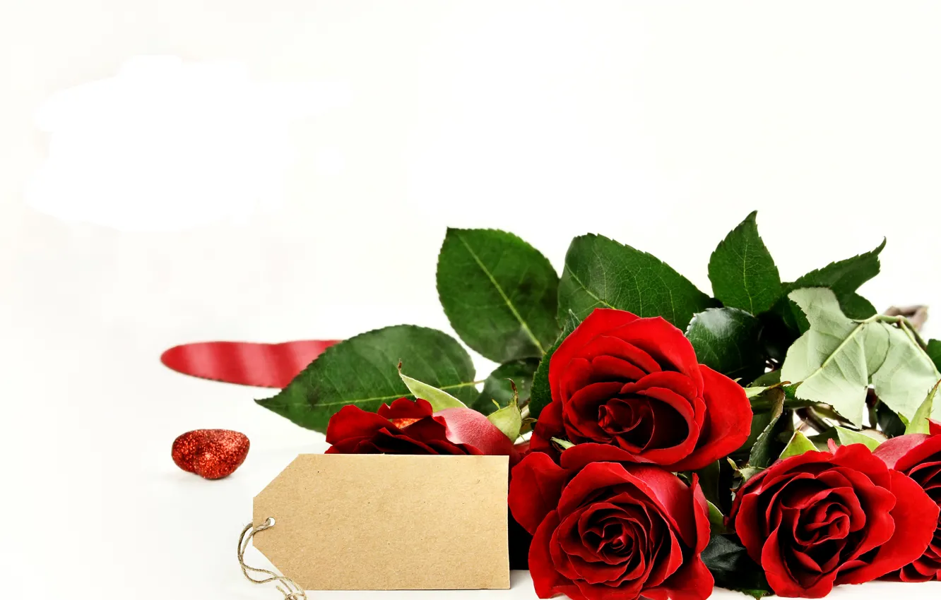 Фото обои романтика, розы, red, Roses, Valentines Day