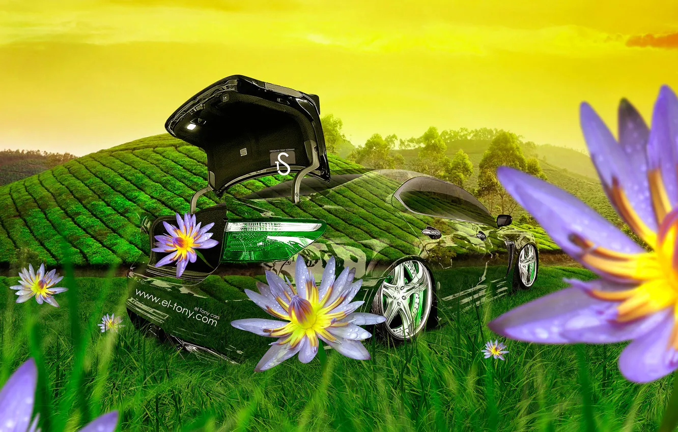 Фото обои Цветы, Природа, Трава, Lexus, Стиль, Лексус, Обои, Fantasy