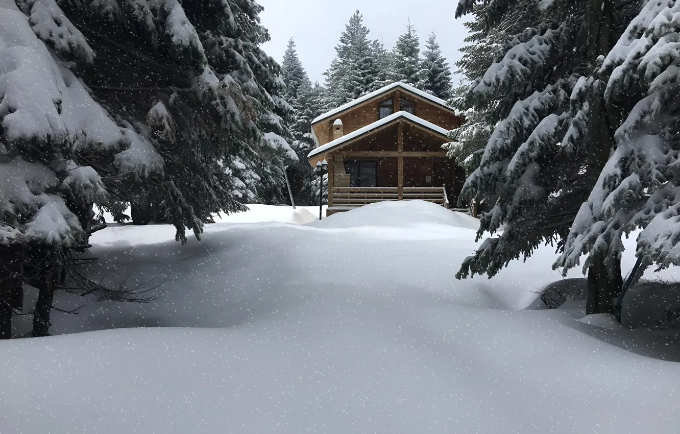 Фото обои Зима, Снег, Winter, Snow, Winter House, Снежный Лес, Snowy Forest, Зимний Дом